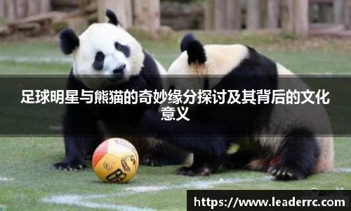 足球明星与熊猫的奇妙缘分探讨及其背后的文化意义
