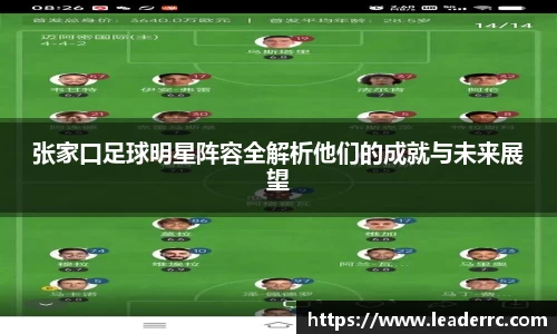 张家口足球明星阵容全解析他们的成就与未来展望